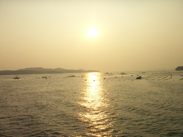 a0165872_1312196.jpg