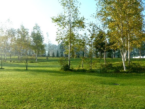 d0084473_16331072.jpg