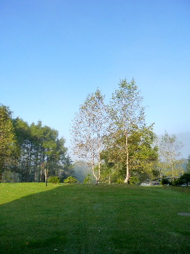 d0084473_16333298.jpg