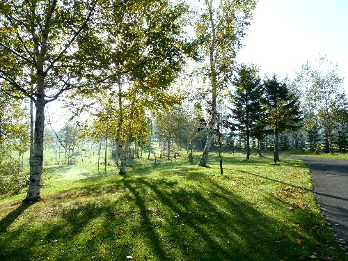 d0084473_1633396.jpg