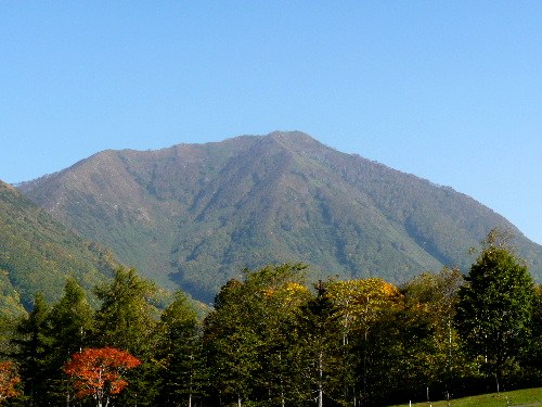 d0084473_16341436.jpg
