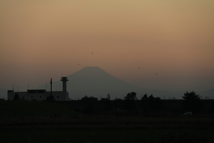 e0249878_2249787.jpg