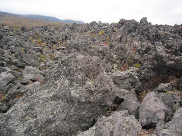 c0218879_10152489.jpg