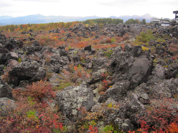 c0218879_10202334.jpg
