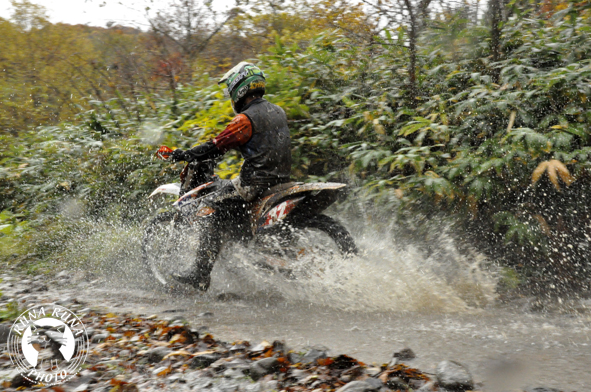 f0210380_2311107.jpg