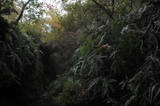 e0024081_15172796.jpg