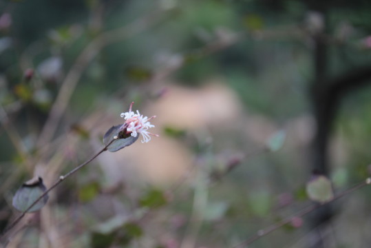 e0024081_15175767.jpg