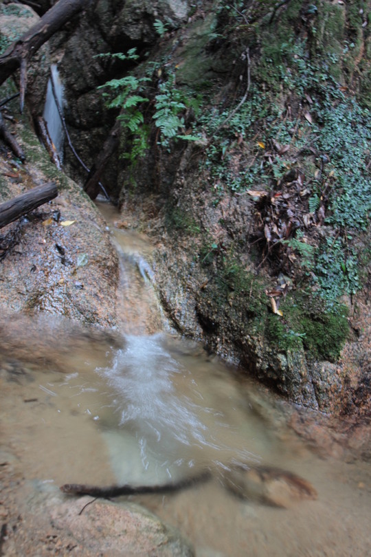 e0024081_1517921.jpg
