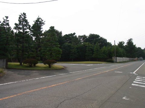 d0165682_11154576.jpg
