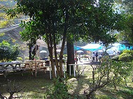 a0142083_2024549.jpg
