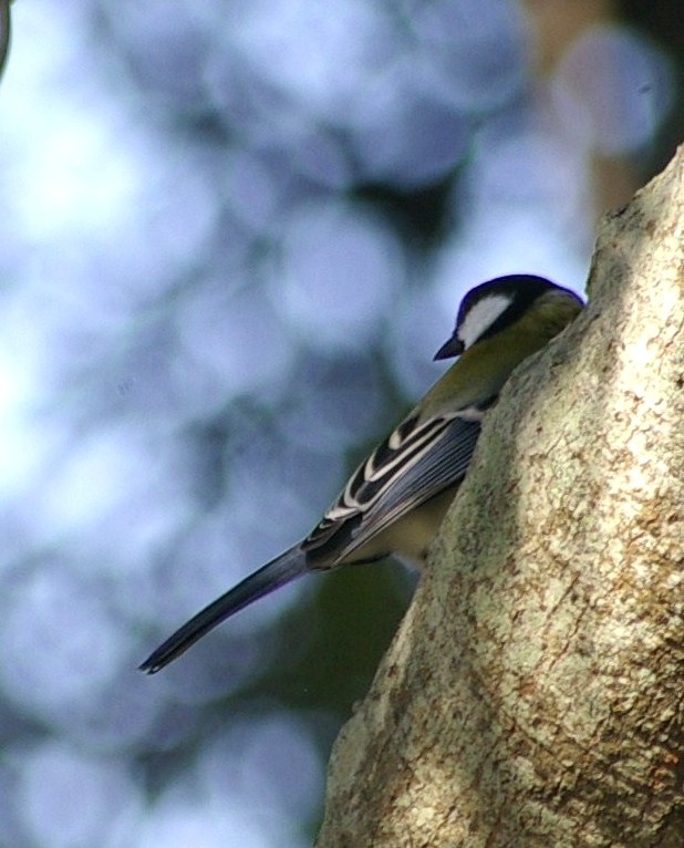 e0197884_23264216.jpg