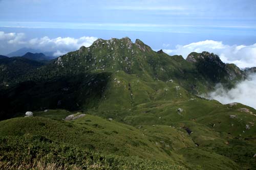 a0079987_932641.jpg