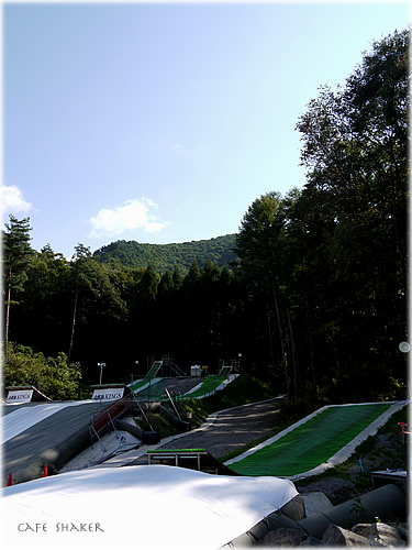 e0138787_19575954.jpg