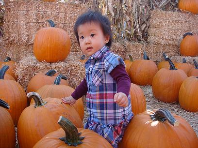 c0002590_8373358.jpg