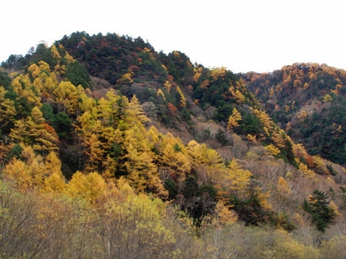 d0125890_11272465.jpg