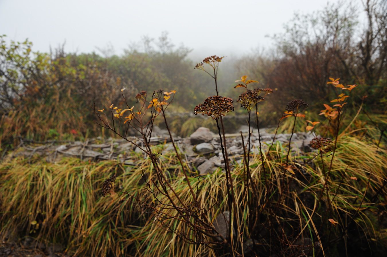 c0138991_18293550.jpg
