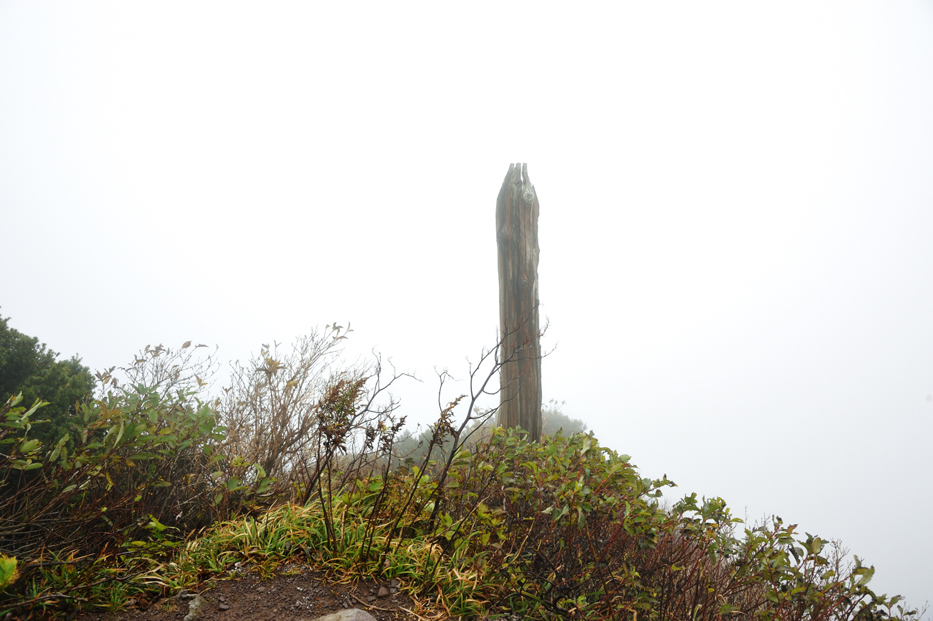 c0138991_18361126.jpg