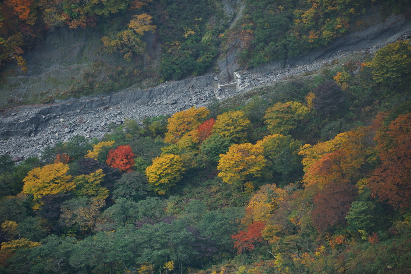 c0138991_19321220.jpg