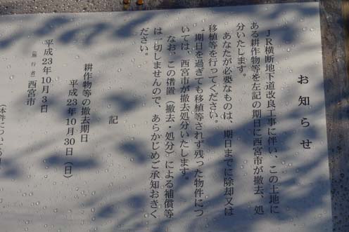 f0222692_17422023.jpg
