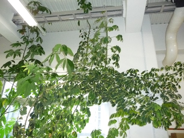 c0108693_21373233.jpg