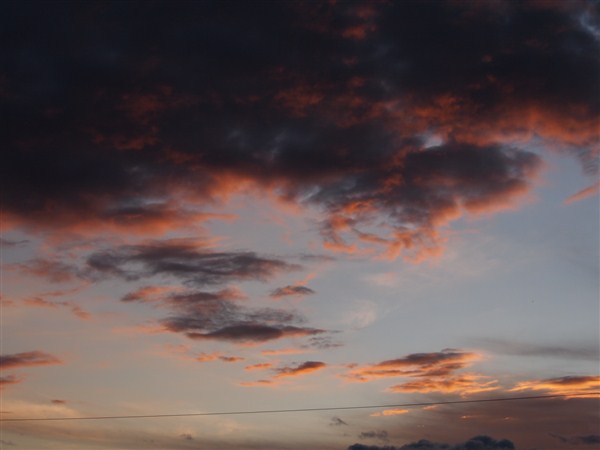 a0058195_22441061.jpg