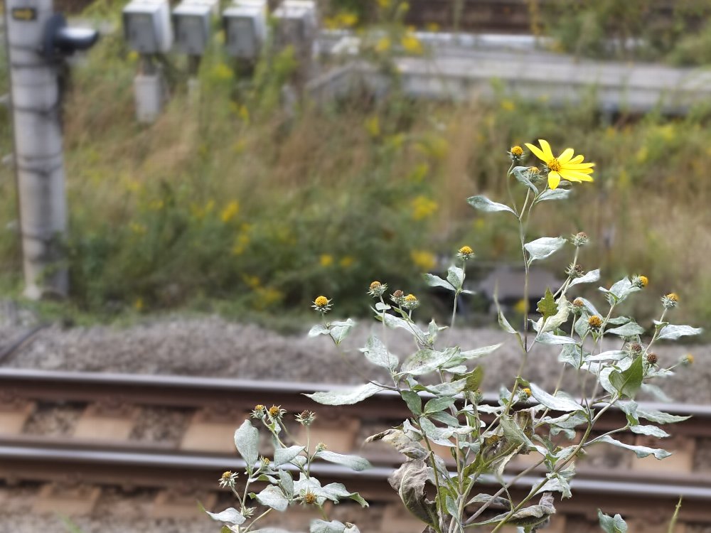 c0124795_2333512.jpg