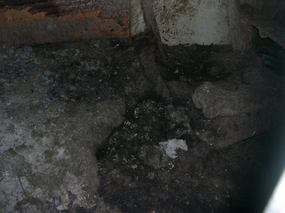 e0212095_172167.jpg