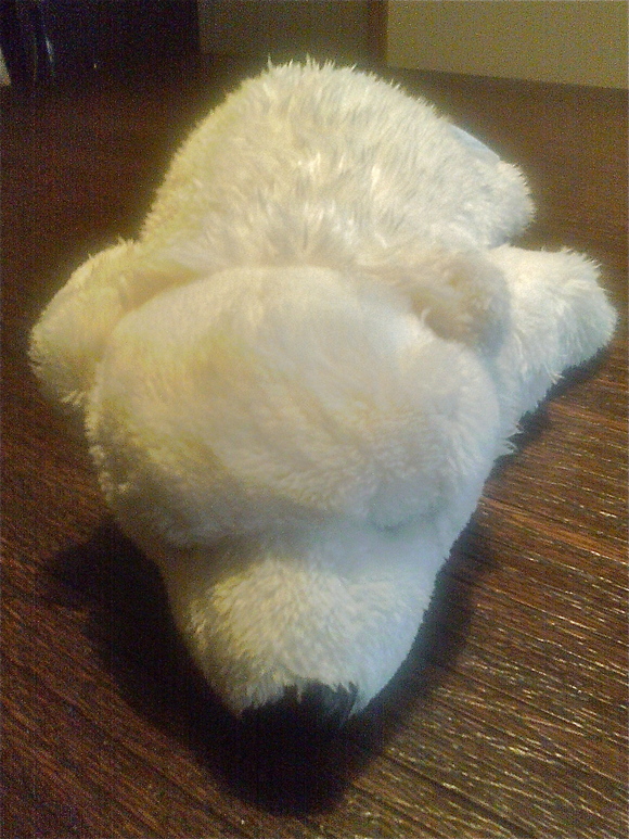b0199097_15555225.jpg