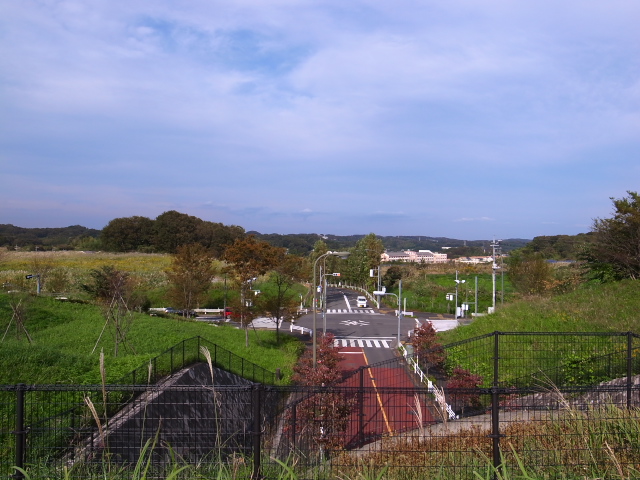 d0081997_18521431.jpg