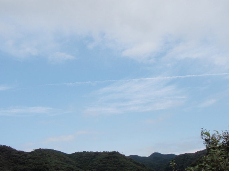 b0039898_22125566.jpg