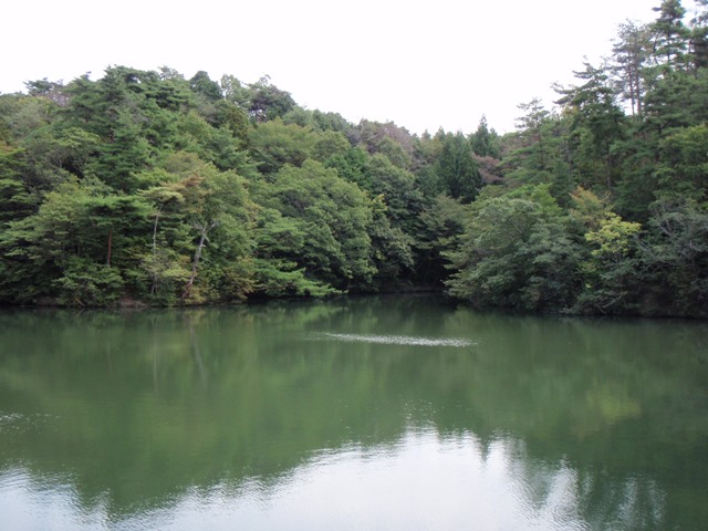 b0039898_22131150.jpg