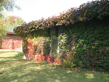 a0117599_22251180.jpg