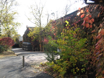a0117599_2226120.jpg