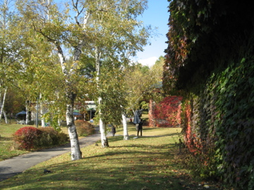 a0117599_2227520.jpg