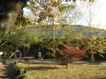 a0117599_22292134.jpg