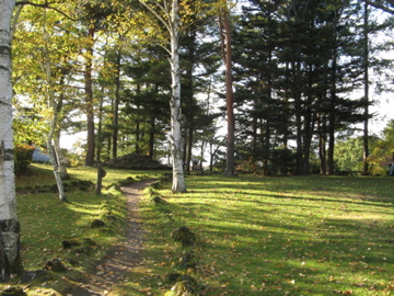 a0117599_2229281.jpg