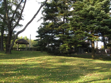 a0117599_22294061.jpg