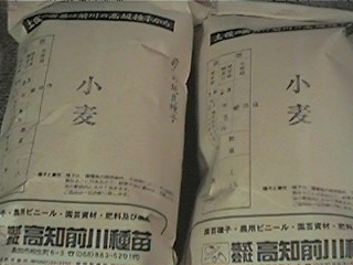 f0151099_213075.jpg