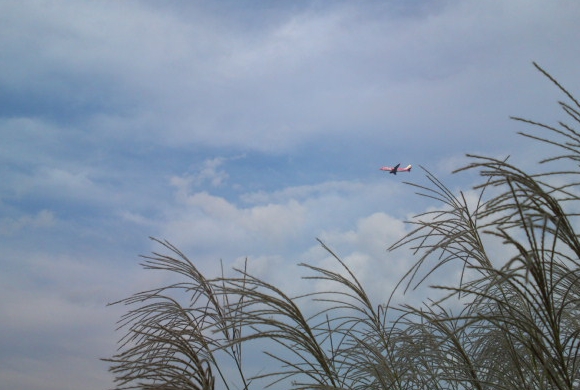 a0031000_23472555.jpg