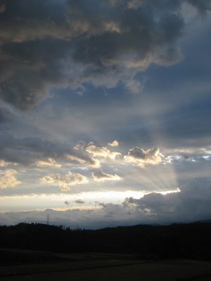 d0138203_151463.jpg