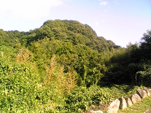 d0052404_23242573.jpg