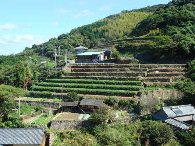 d0237309_22113563.jpg