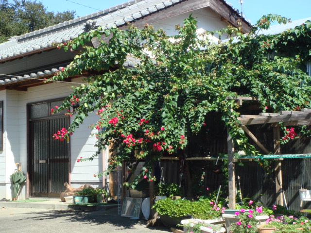 d0237309_2213876.jpg