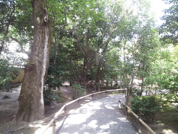 e0033713_8572420.jpg