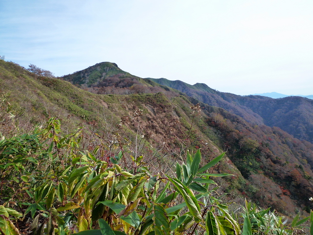 d0170615_7545237.jpg
