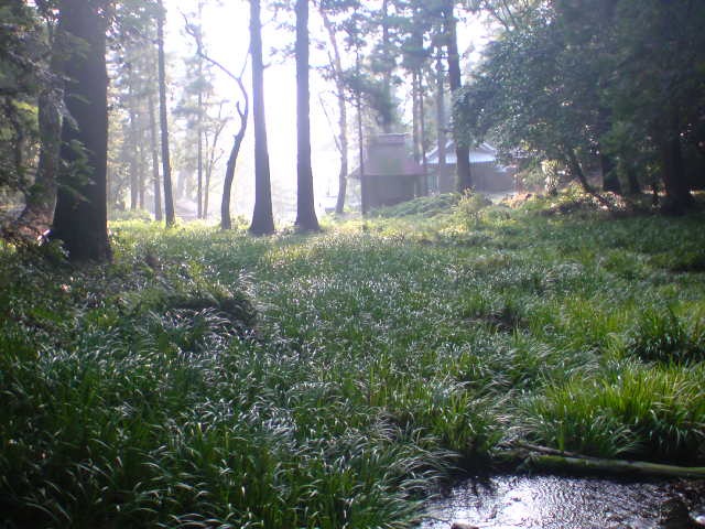 c0213619_23235791.jpg