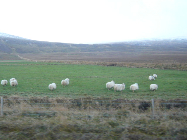c0003620_23375032.jpg