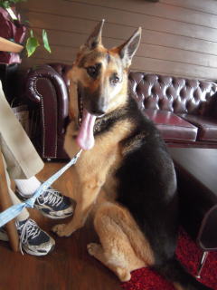 c0090220_1434135.jpg