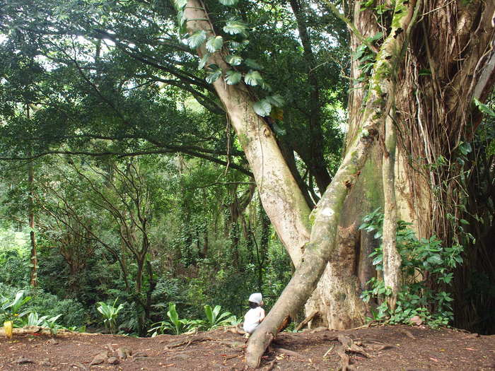 f0185920_2320453.jpg