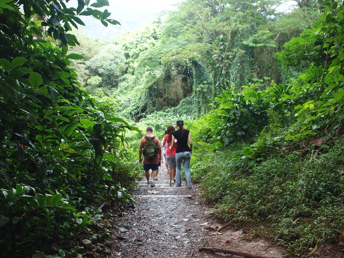 f0185920_23222188.jpg